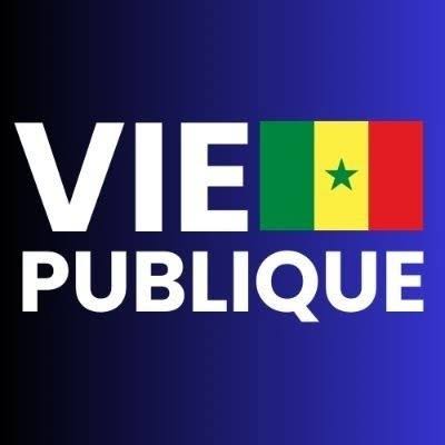 Logo Vie Publique